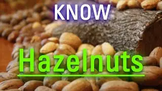 What is Hazelnuts? | How to Say Hazelnuts in English? | How Does Hazelnuts Look?