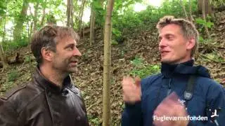 Munk, fuglestemmeskole med Martin Brygmann og Allan Gudio