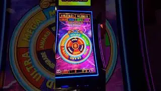 Star Wild Olympus Bonus Wheel Spin! #theslotmaster316 #casino #shorts #bonusrpund