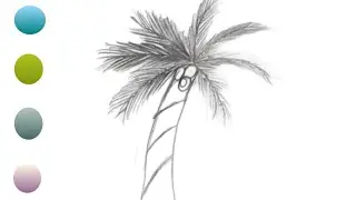 Coconut Tree Drawing | Easy Palm Tree Pencil Sketch for Beginners
