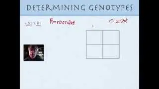 Genetics for Beginners Part 1