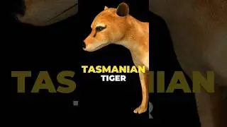 De-extinction of the #Tasmanian #Tiger