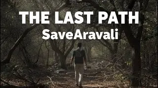 ARAVALI: THE LAST PATH | Survival Short Film on Forest, Wildlife & Climate Crisis