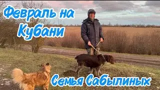 1821❤️Потери рассады/ Закупили дерево/ Устраняем недочеты в доме/ Гулять, так гулять
