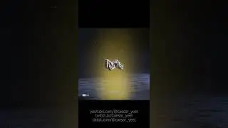 MY REACTION TO THE NEW PEACEKEEPER SKIN!!!
