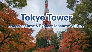 Tokyo Tower | Easy Japanese Reading & Listening
