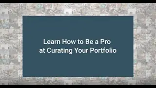 Learn How To Curate Your Illustration Portfolio