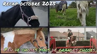 MONTHLYVLOG : UN MOIS CHILL 
