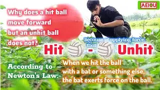 Hit Ball vs Unhit Ball | Why Does a Hit Ball Move Forward but an Unhit Ball Does Not?
