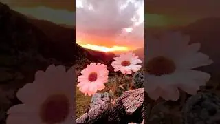🤔How to make colour grading video in capcut | video me colour grading kaise kre #trending #tutorial