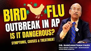 Bird Flu in AP: Is It Dangerous? Symptoms, Causes & Treatment | The Hans India