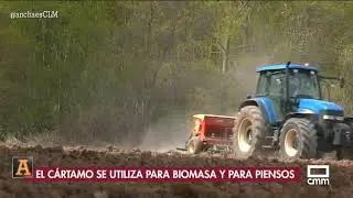 Sembramos c&aacute;rtamo en Castrej&oacute;n de Henares | Ancha es Castilla-La Mancha - CMM