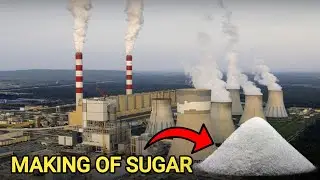How Sugar is made From Sugarcane in Sugar mills of Pakistan | Sugar Making Process In Factory