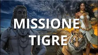 Sulle TRACCE della TIGRE DEL BENGALA 🐯
