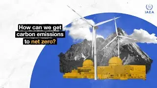 How can we get carbon emissions to net zero?