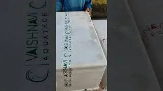 Shrimp Seed Unboxing #nativefish #fishcatching #fishing #aquaculture