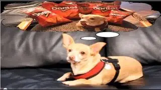 Doritos Crash the Super Bowl 2014 - Crunch Tape