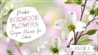 Make Dogwood Flowers For Cakes & Clay Crafts |  Part 1