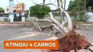 &Aacute;rvore cai na Asa Norte e causa danos a ve&iacute;culos estacionados em frente a unidade de sa&uacute;de |DF no Ar