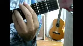 Ava Max - Salt (Guitar Chords) Dm