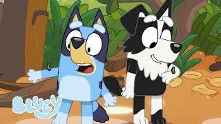 ¡Bluey Encuentra Insectos en el Arroyo! 😝 🪱 | Bluey Español Canal Oficial