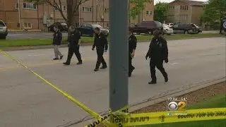 Road Rage Motive Probed In Schiller Park