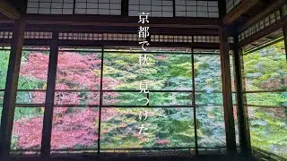【京都北区】【瑠璃光院】DORF｜紅葉｜京都府立植物園｜珍遊｜賀茂川｜KYOTO｜CAFE｜焼肉南山