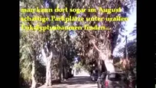 CORSICA TIPS BY MILUNA TUANI U PAESOLU DI PRUNETE CERVIONE