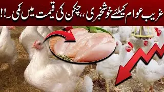 Today Rate list | Chicken Prices Drop! Massive Cut in Broiler Rates | City 41