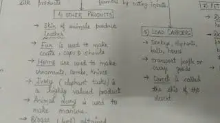 Class 4, USEFUL ANIMALS (PART-1)