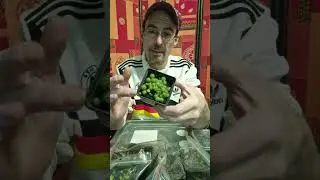 Cactus Livestream / General Q&A / Sowing out & vegetables (Patrick Noll) February 4th, 2026