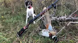 2020 Pheasant Hunting