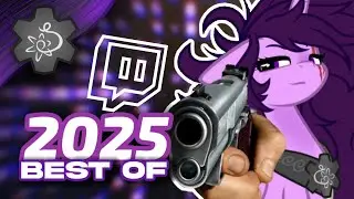 LE MIGLIORI CLIP DEL 2025 | SingalekSMW