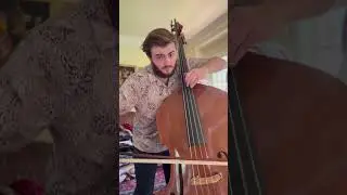 #shostakovich #doublebass #doublebassist #uprightbass #classicalmusicians #stringplayer #contrabass