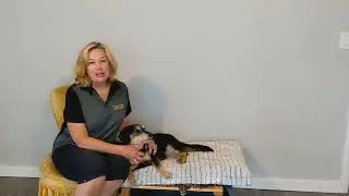 Behavior Buddies Intro