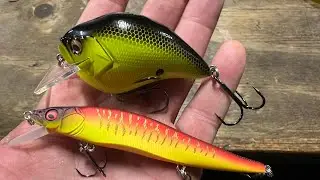 The Best Big Bass Lure Color