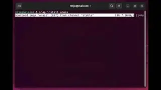 TMack - Amass - snap install - #osint #amass #recon #tools