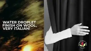 Young business show | Transparent & Textured Wool | Italian linen |Unique Fabric |