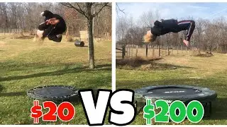 $20 MINI TRAMPOLINE VS $200 MINI TRAMPOLINE! (ACON MINI)