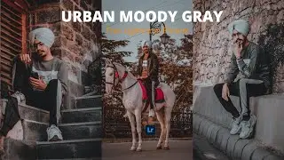 Urban Gray lightroom mobile tutorial | Lightroom DNG Free Download | Urban gray Preset | Urban gray