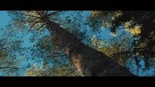 Cinematic shots of Manali in winter