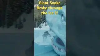 A Giant White Snake Broke Through the Ice to Hunt Her! 🐍😱