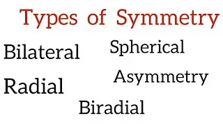 Lecture 4 : Types of Symmetry : Bilateral , Radial , Asymmetry , Spherical , Biradial. 