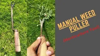 Manual Hand Weeder | Pull or Remove Weeds With Easy Tricks  | weeds Puller | Gardenia services