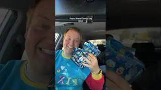 Загадочные зажимы для сумок Disney 90-х!