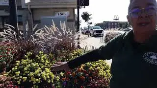 Mayor Anthony Copeland enhances East Chicago with Flowers in Public Spaces.