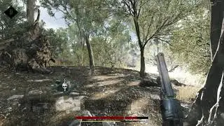 Hunt Showdown: Flash Bomb Kill