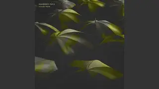 A Hard Truth