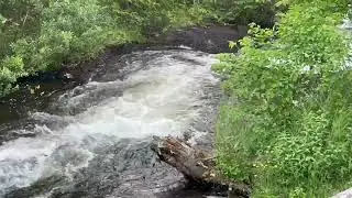 the River Video