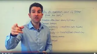 Why Do Companies Care If the Stock Price Falls? 🐸